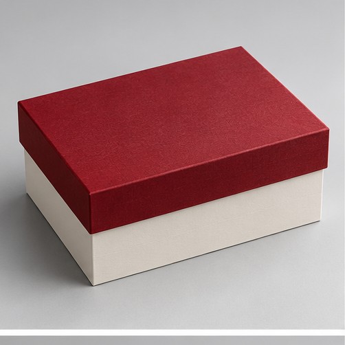 Diseñador de Packaging 3D 1 Caja rígida con tapa independiente cerrada